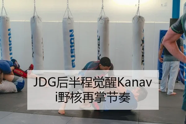 JDG后半程觉醒Kanavi野核再掌节奏